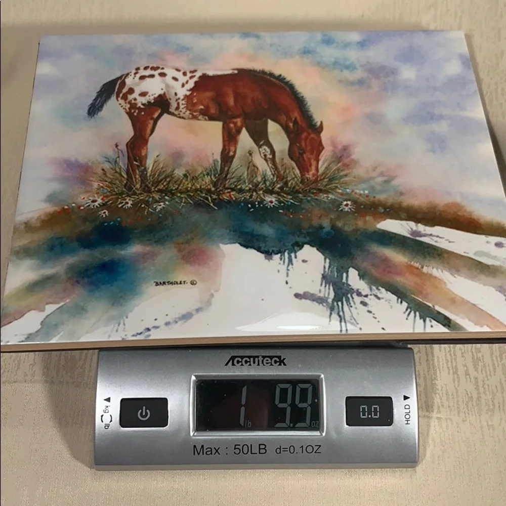 Ceramic Horse Art Tile